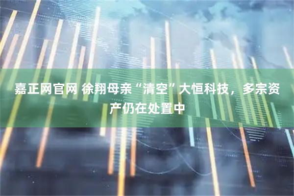 嘉正网官网 徐翔母亲“清空”大恒科技，多宗资产仍在处置中