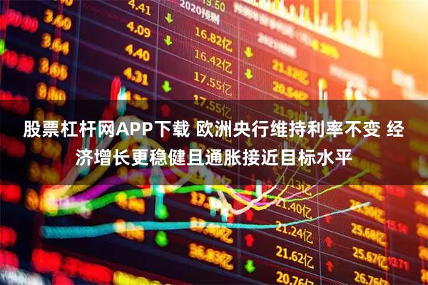股票杠杆网APP下载 欧洲央行维持利率不变 经济增长更稳健且通胀接近目标水平