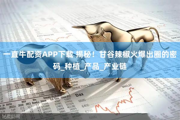 一直牛配资APP下载 揭秘！甘谷辣椒火爆出圈的密码_种植_产品_产业链