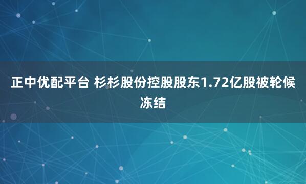 正中优配平台 杉杉股份控股股东1.72亿股被轮候冻结