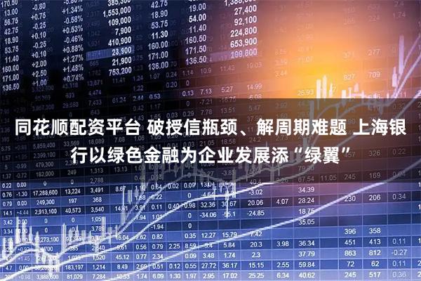 同花顺配资平台 破授信瓶颈、解周期难题 上海银行以绿色金融为企业发展添“绿翼”